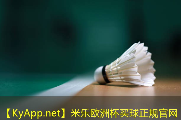 办公室 简易健身 器材