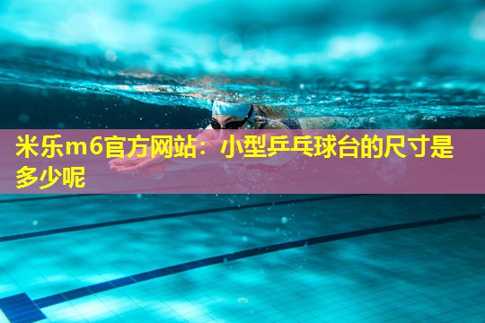 小型乒乓球台的尺寸是多少呢